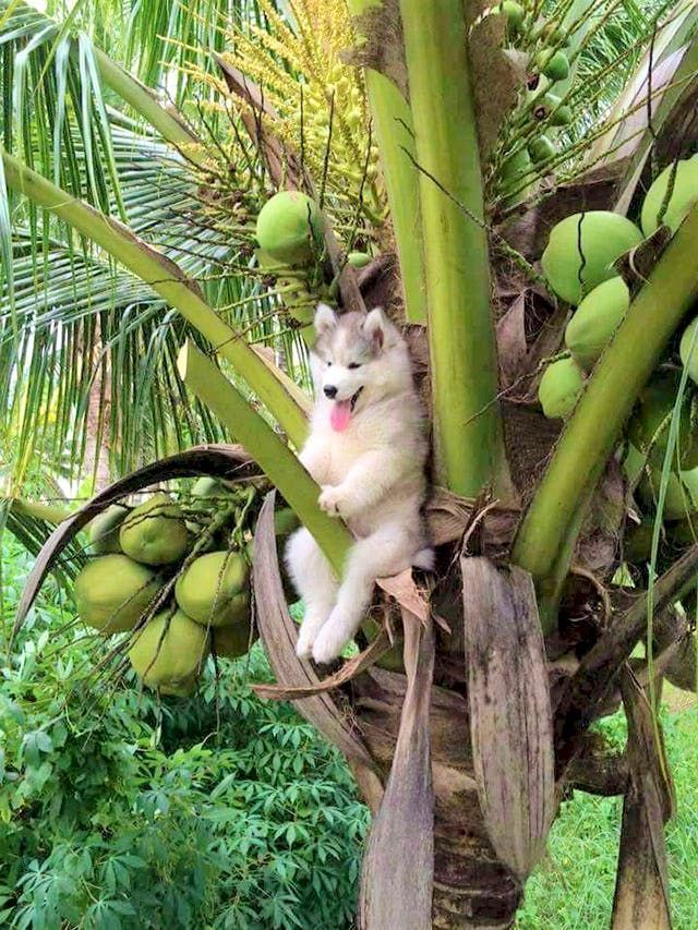 Momen-Momen Kocak Ini Butuh Banget Penjelasan